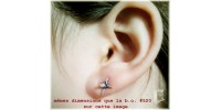 Boucles d'oreilles #521